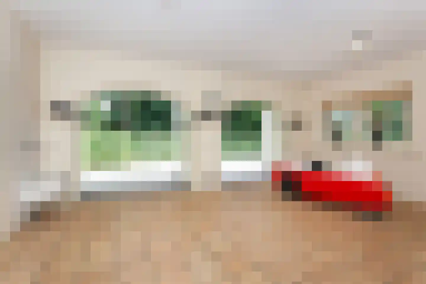 Boswinde 125 Den Haag thumbnail 11
