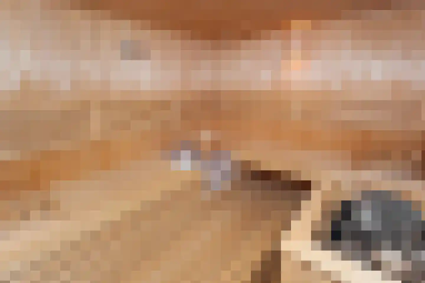 Boswinde 125 Den Haag thumbnail 12