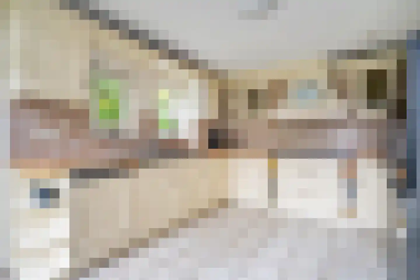 Boswinde 129 Den Haag thumbnail 12
