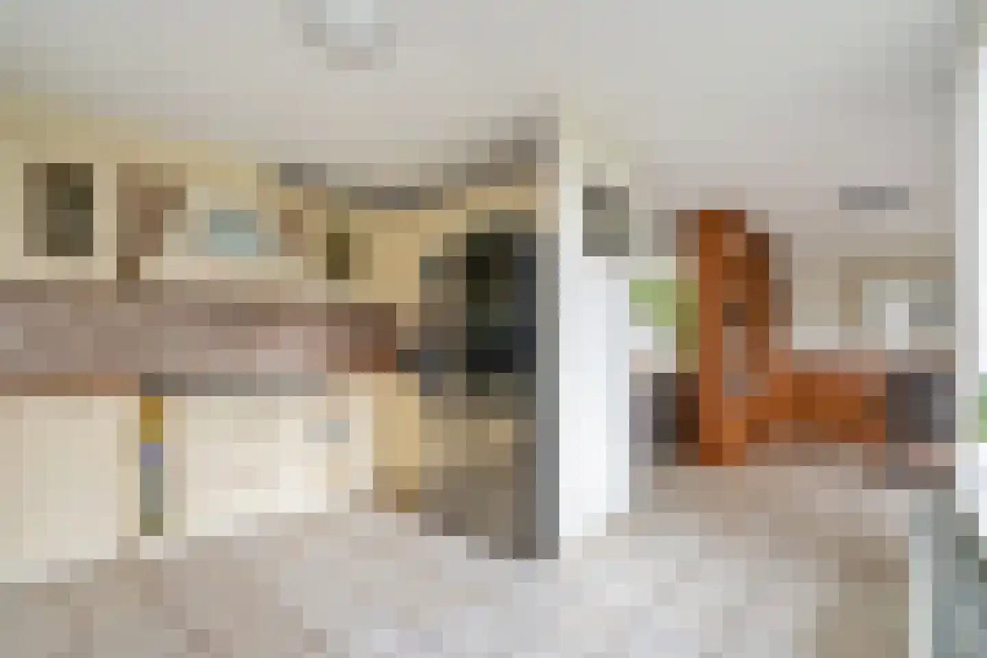 Boswinde 129 Den Haag thumbnail 13