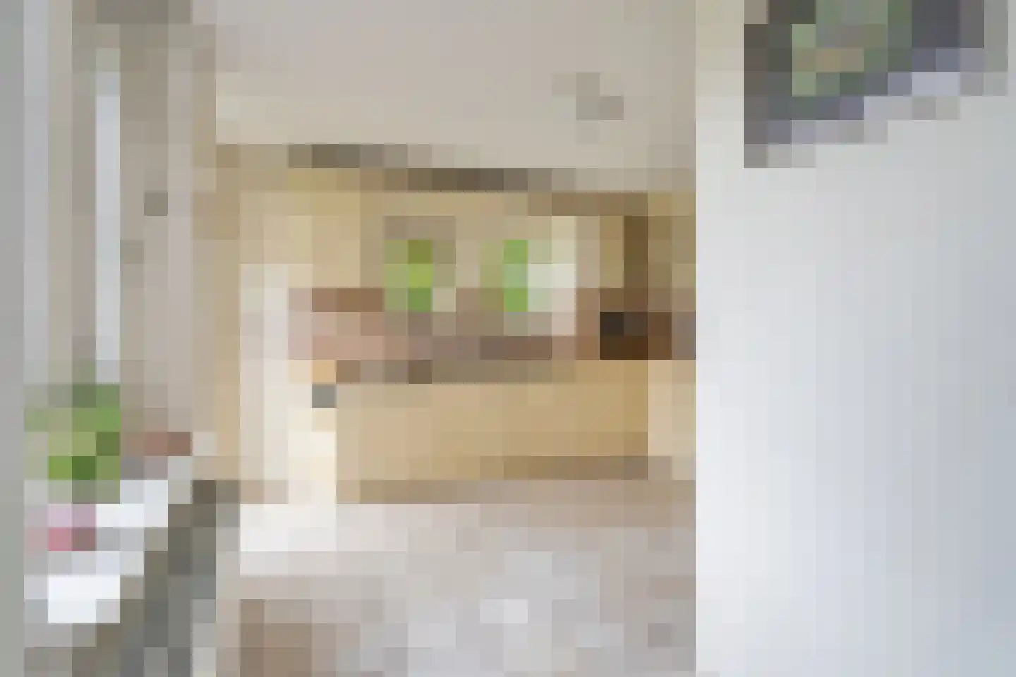 Boswinde 129 Den Haag thumbnail 15