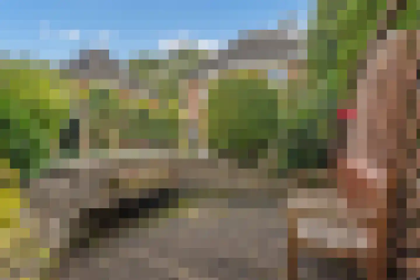 Boswinde 129 Den Haag thumbnail 21
