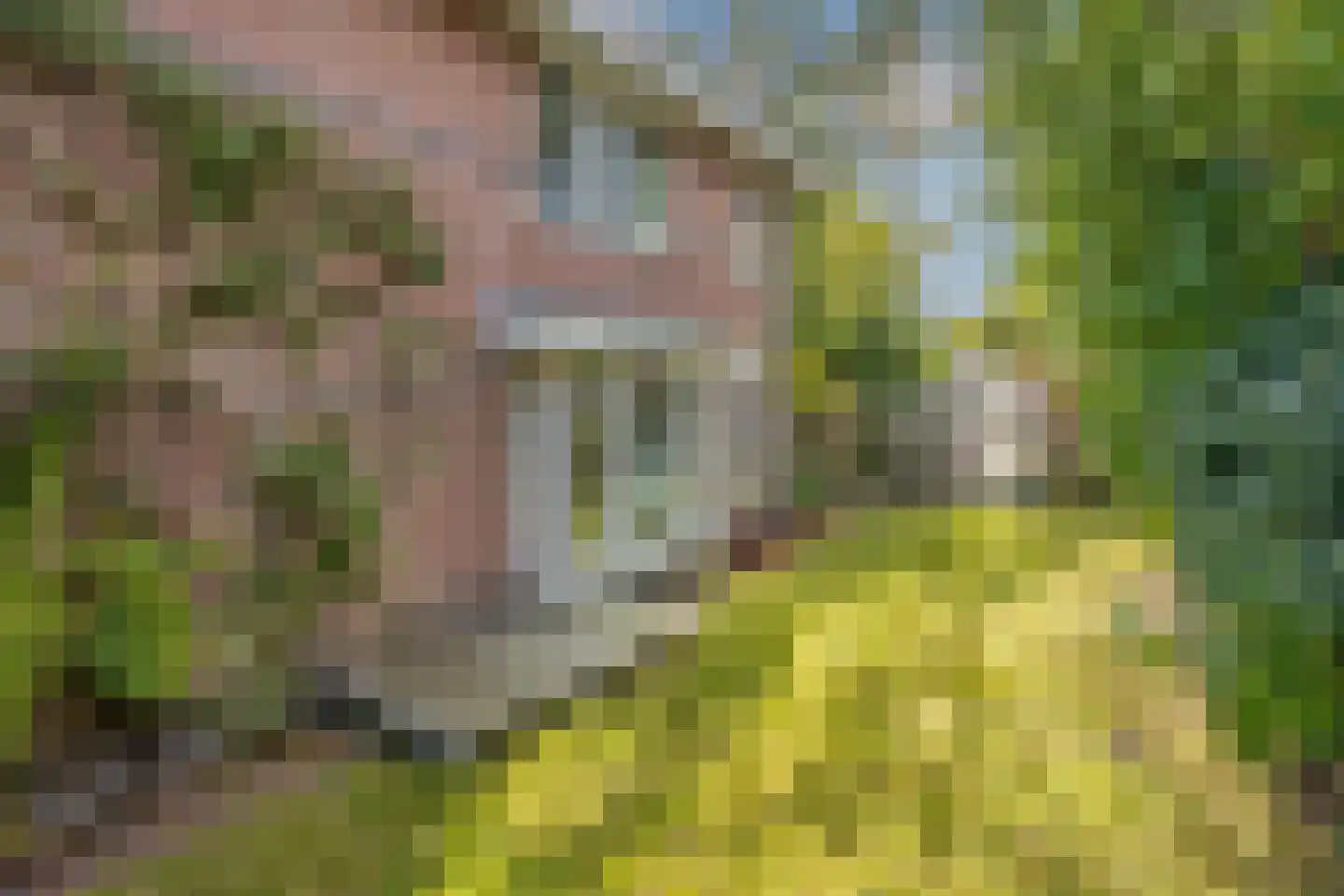 Boswinde 129 Den Haag thumbnail 22