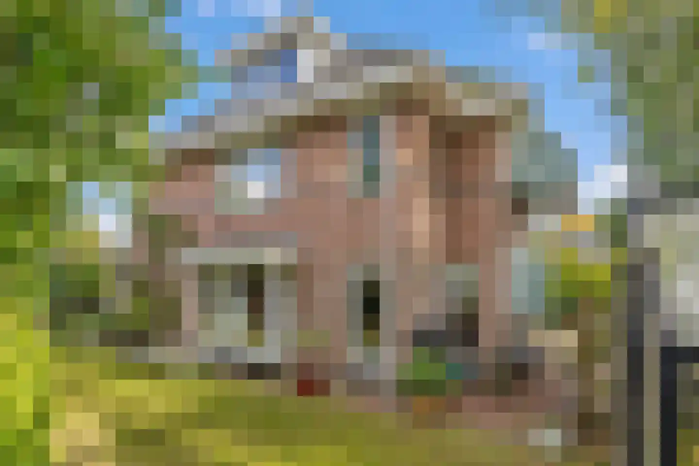 Boswinde 129 Den Haag thumbnail 23