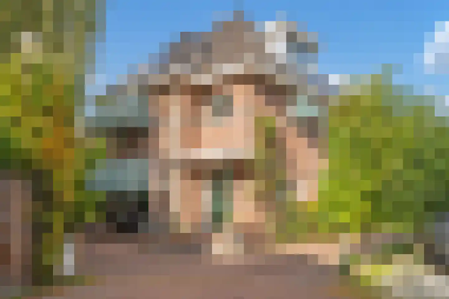 Boswinde 129 Den Haag thumbnail 4
