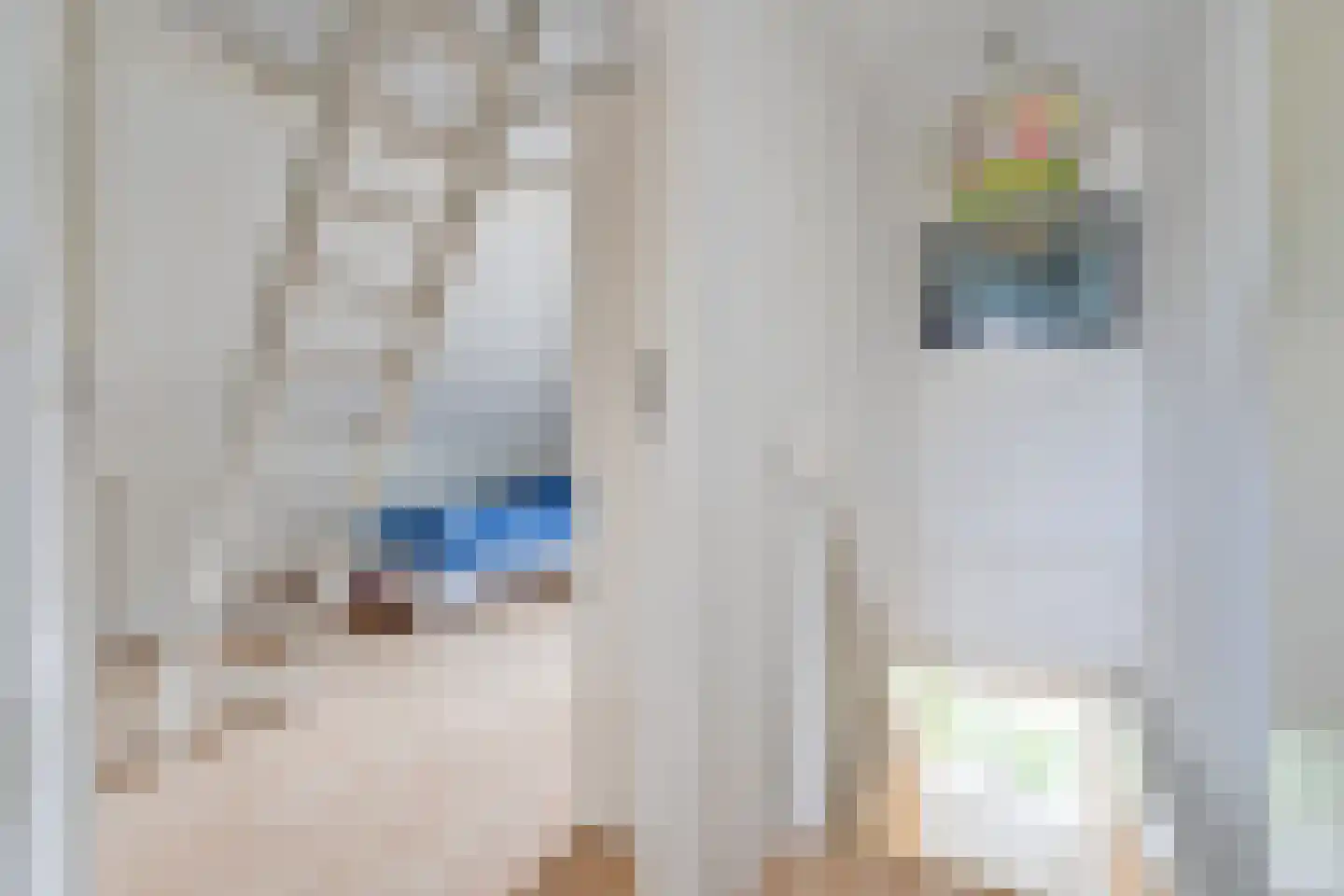 Boswinde 129 Den Haag thumbnail 44