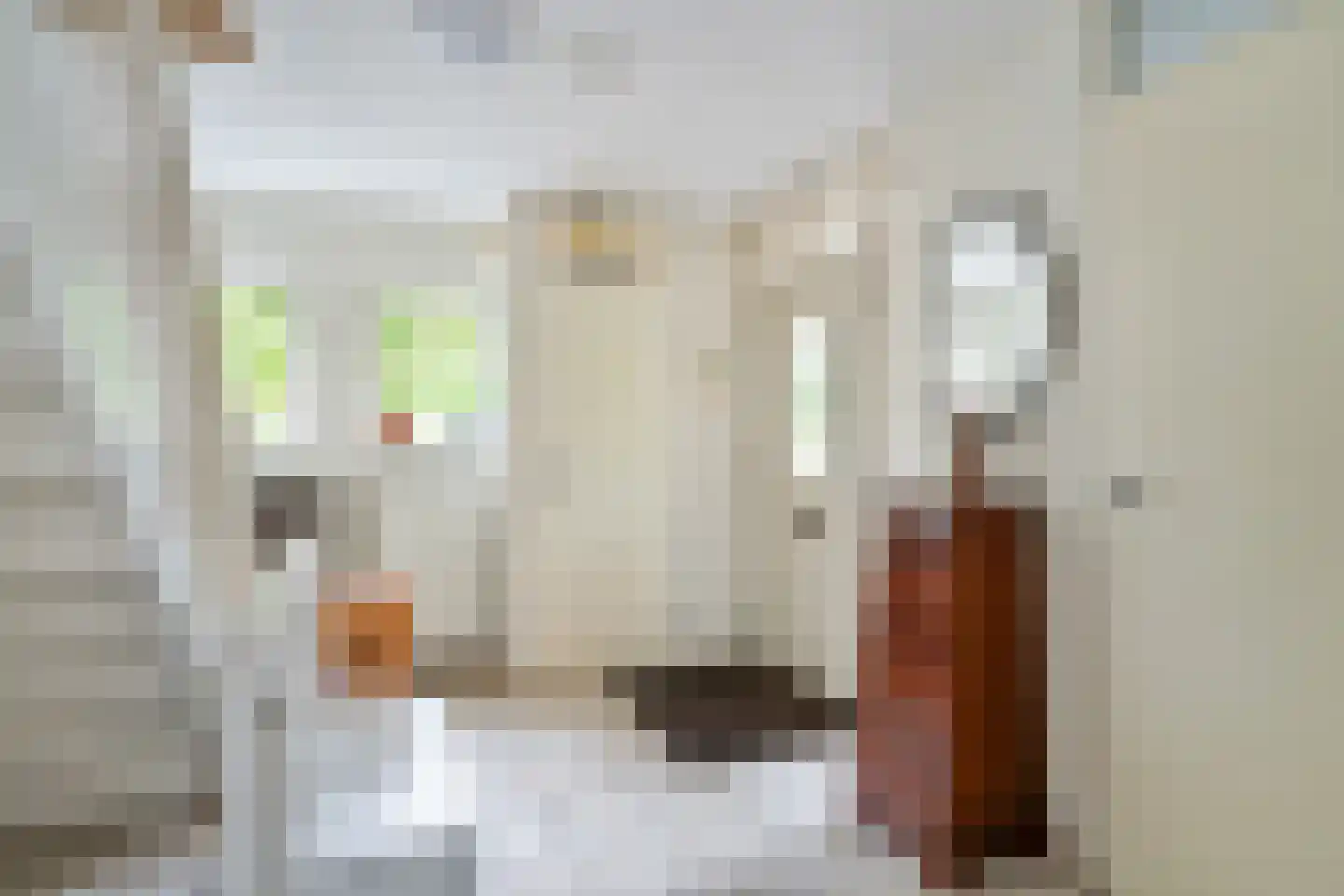 Boswinde 129 Den Haag thumbnail 6