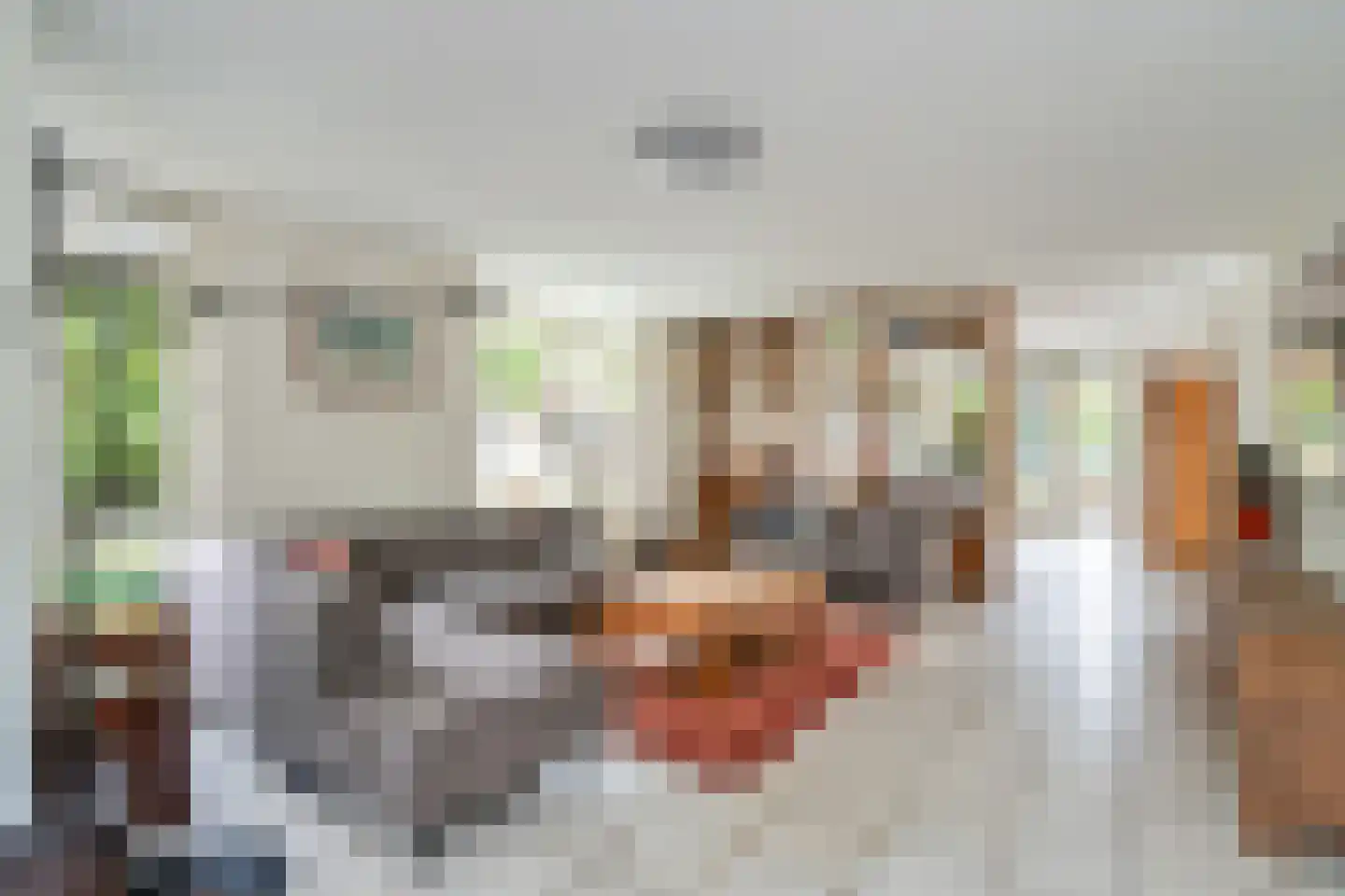 Boswinde 129 Den Haag thumbnail 7