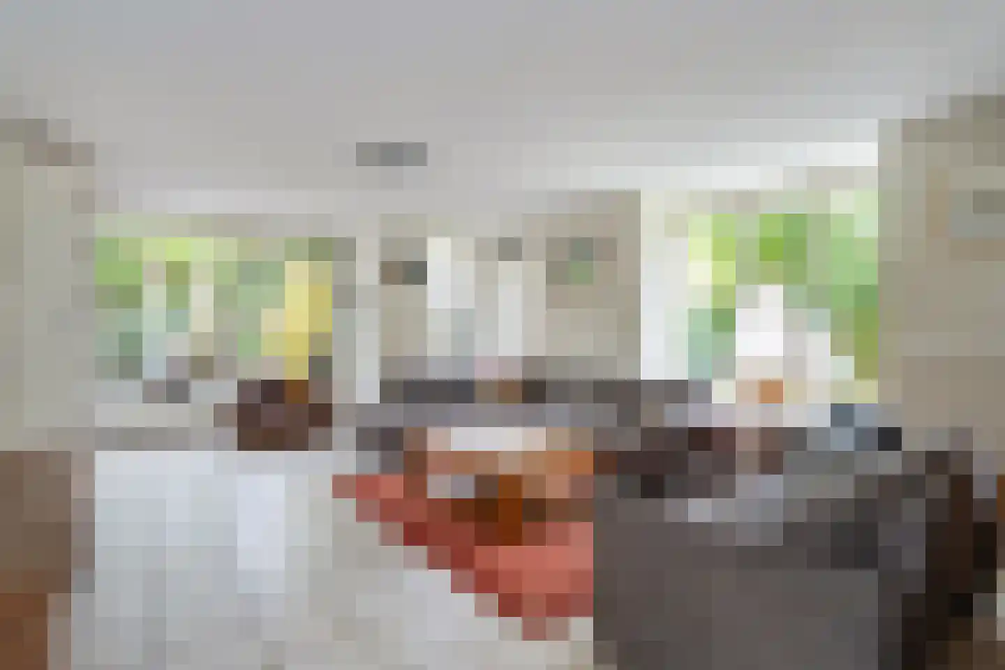 Boswinde 129 Den Haag thumbnail 8