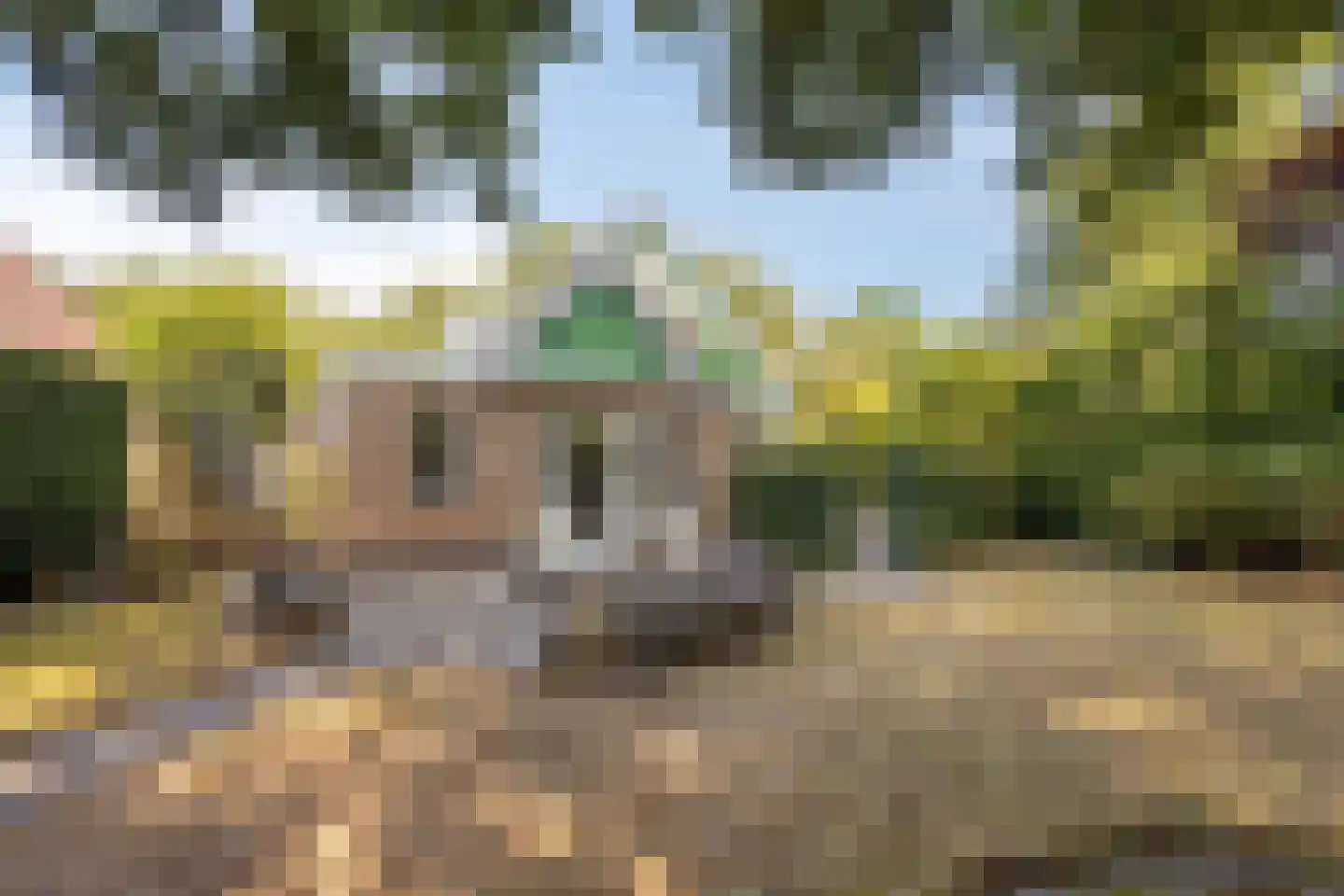 Boswinde 34 Heiloo thumbnail 15