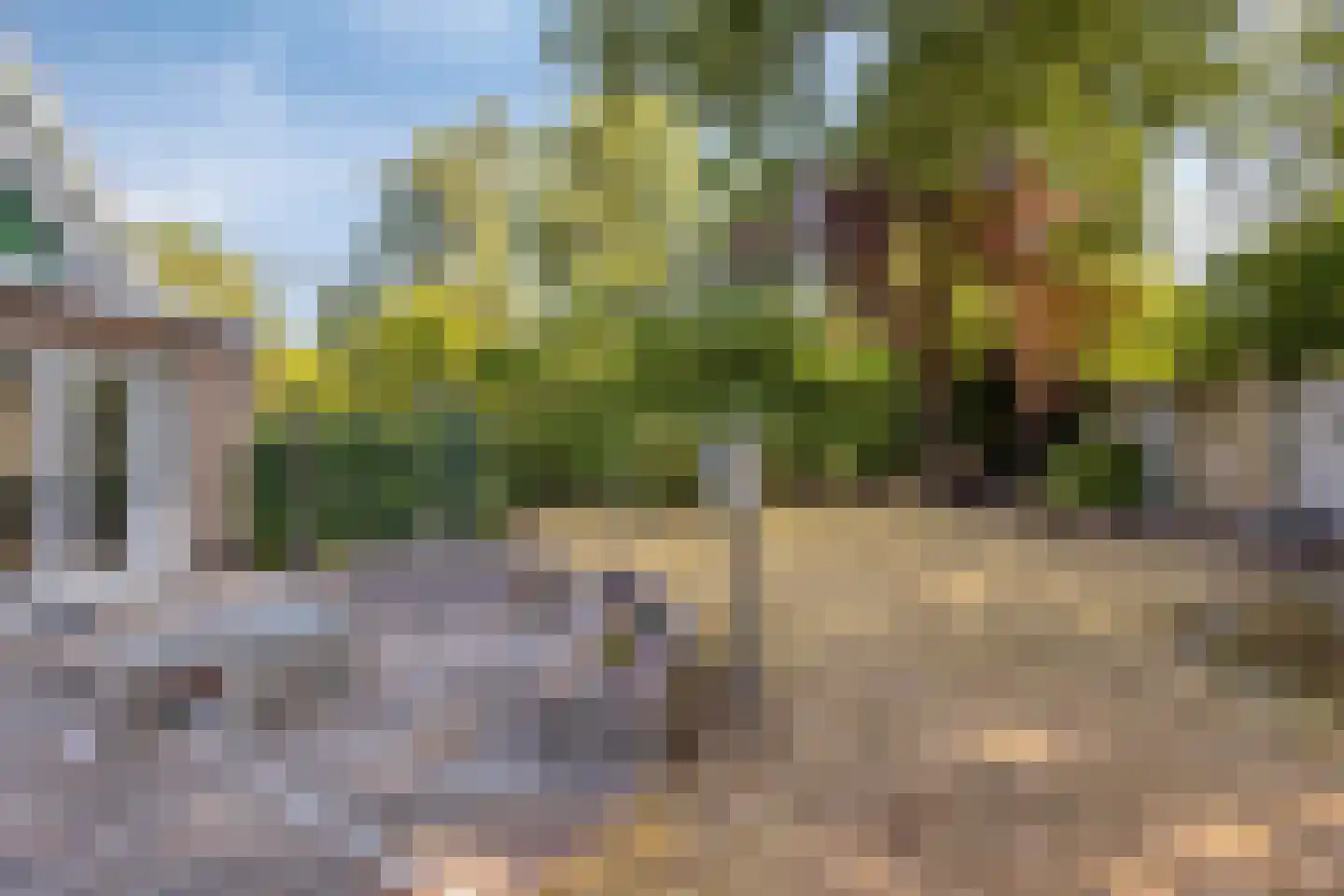 Boswinde 34 Heiloo thumbnail 16