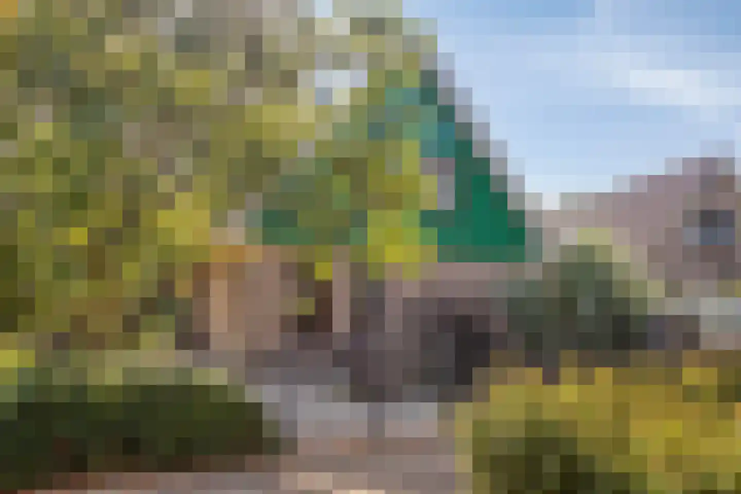 Boswinde 34 Heiloo thumbnail 29