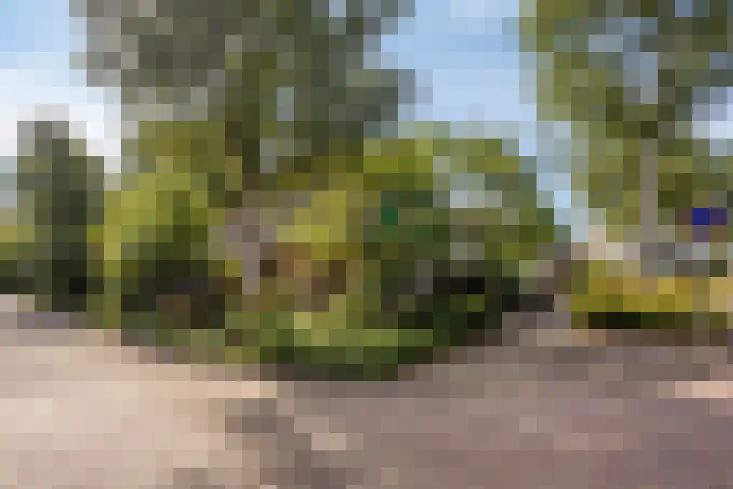 Boswinde 34 Heiloo thumbnail 30