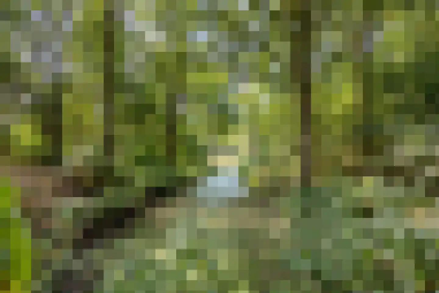 Boswinde 34 Heiloo thumbnail 32