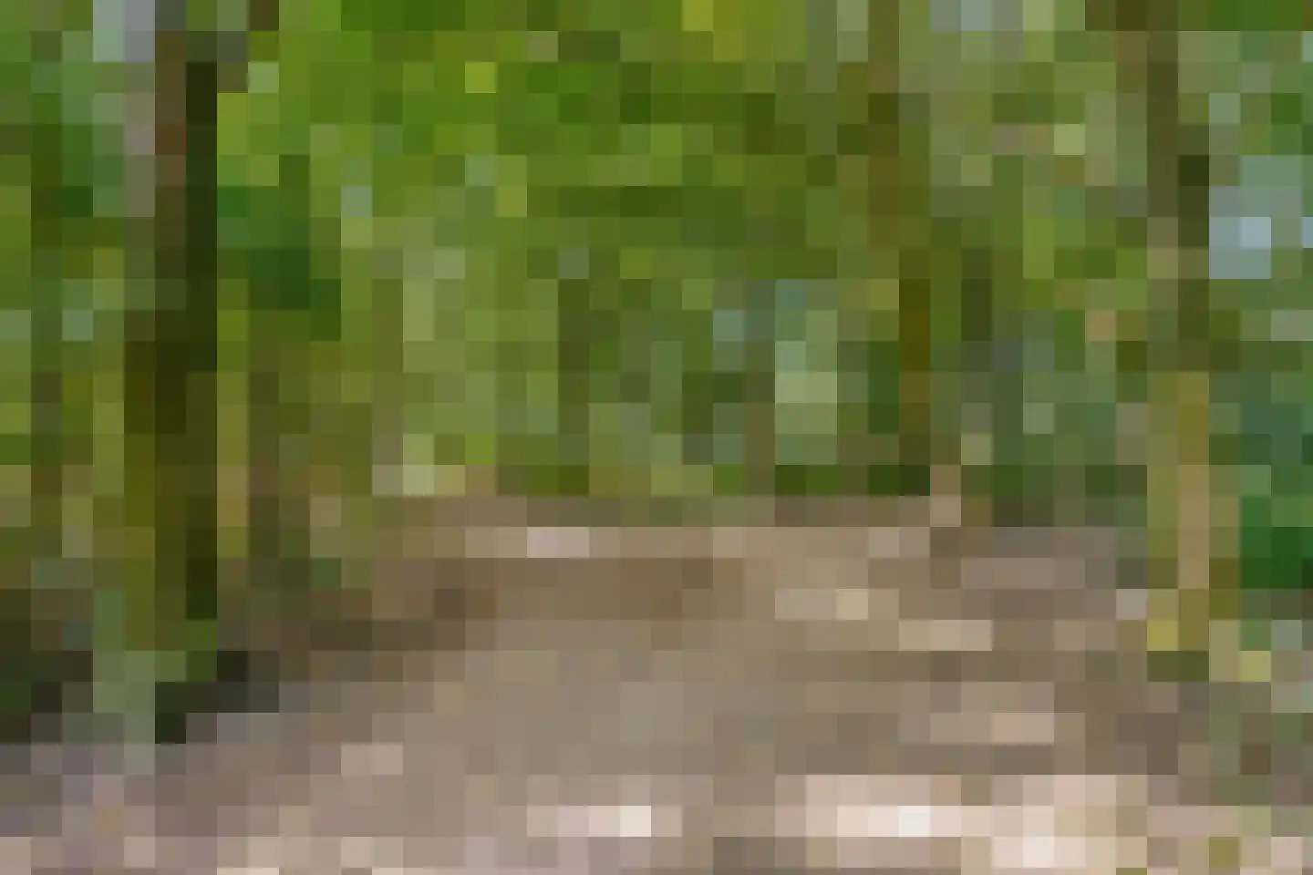 Boswinde 34 Heiloo thumbnail 33