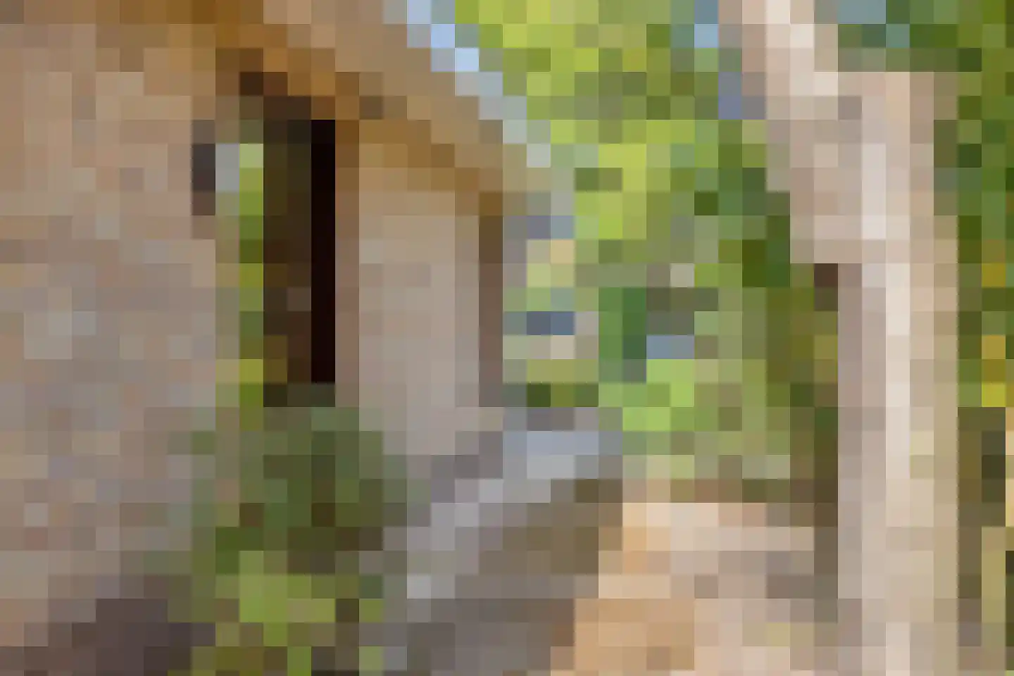Boswinde 34 Heiloo thumbnail 4