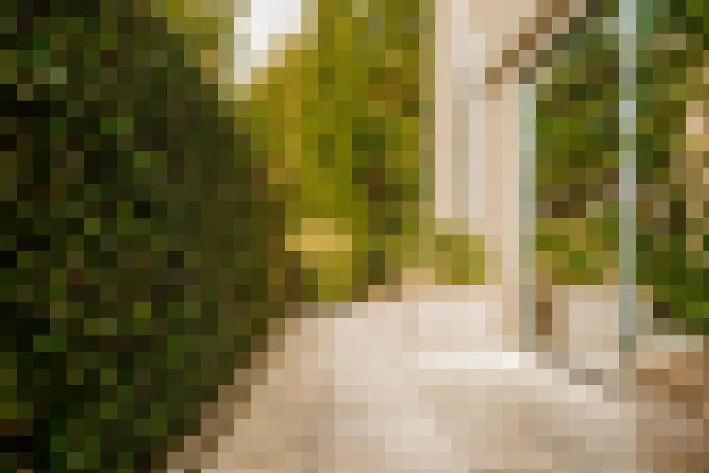 Boswinde 47 Den Haag thumbnail 10