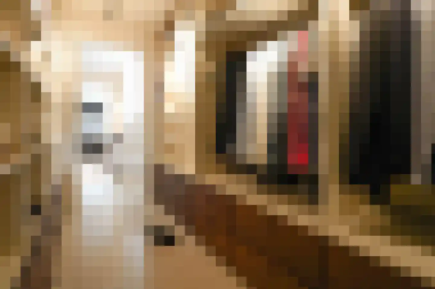 Boswinde 47 Den Haag thumbnail 102