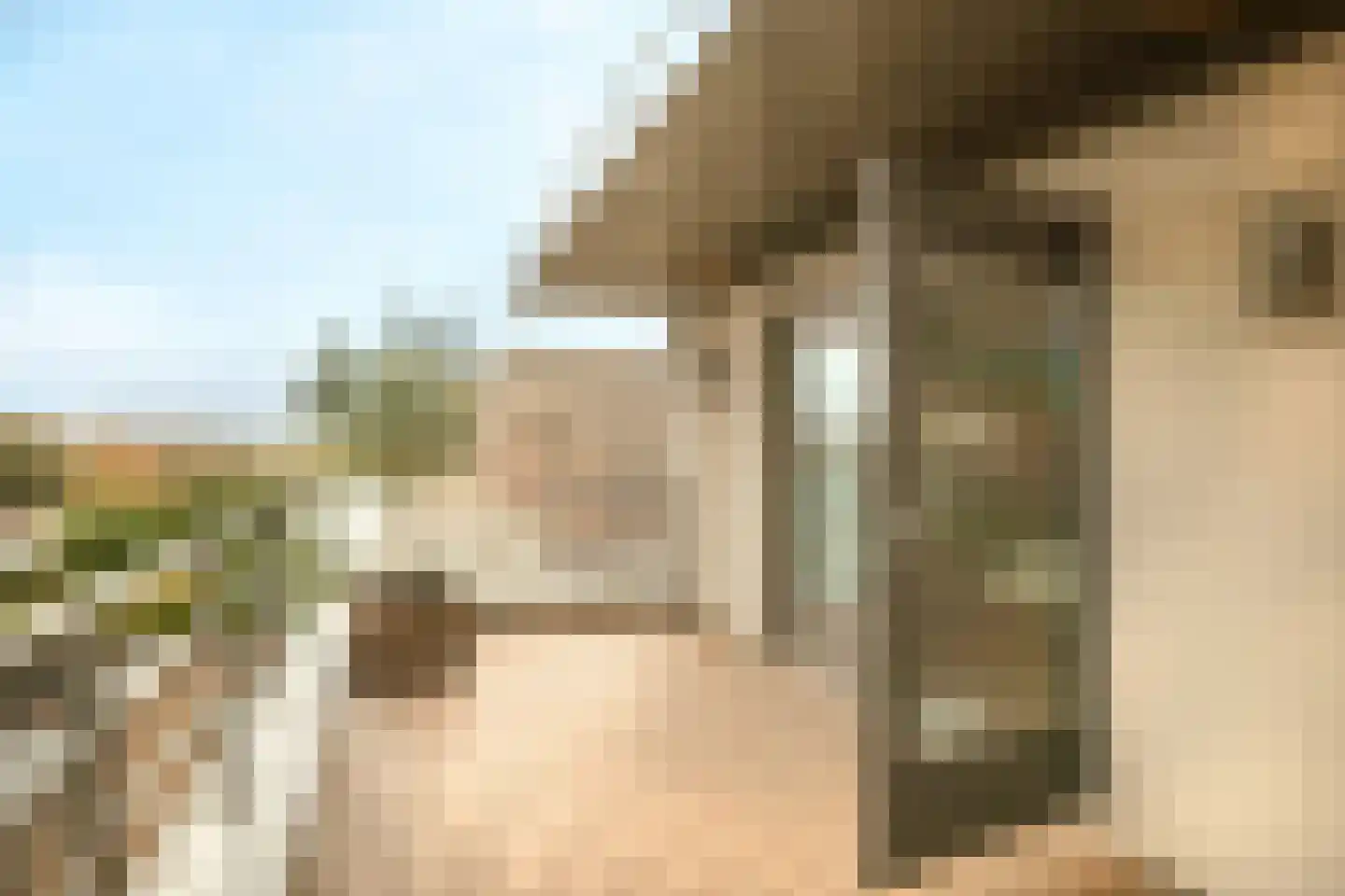 Boswinde 47 Den Haag thumbnail 114