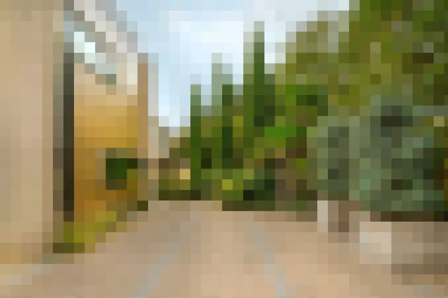 Boswinde 47 Den Haag thumbnail 12