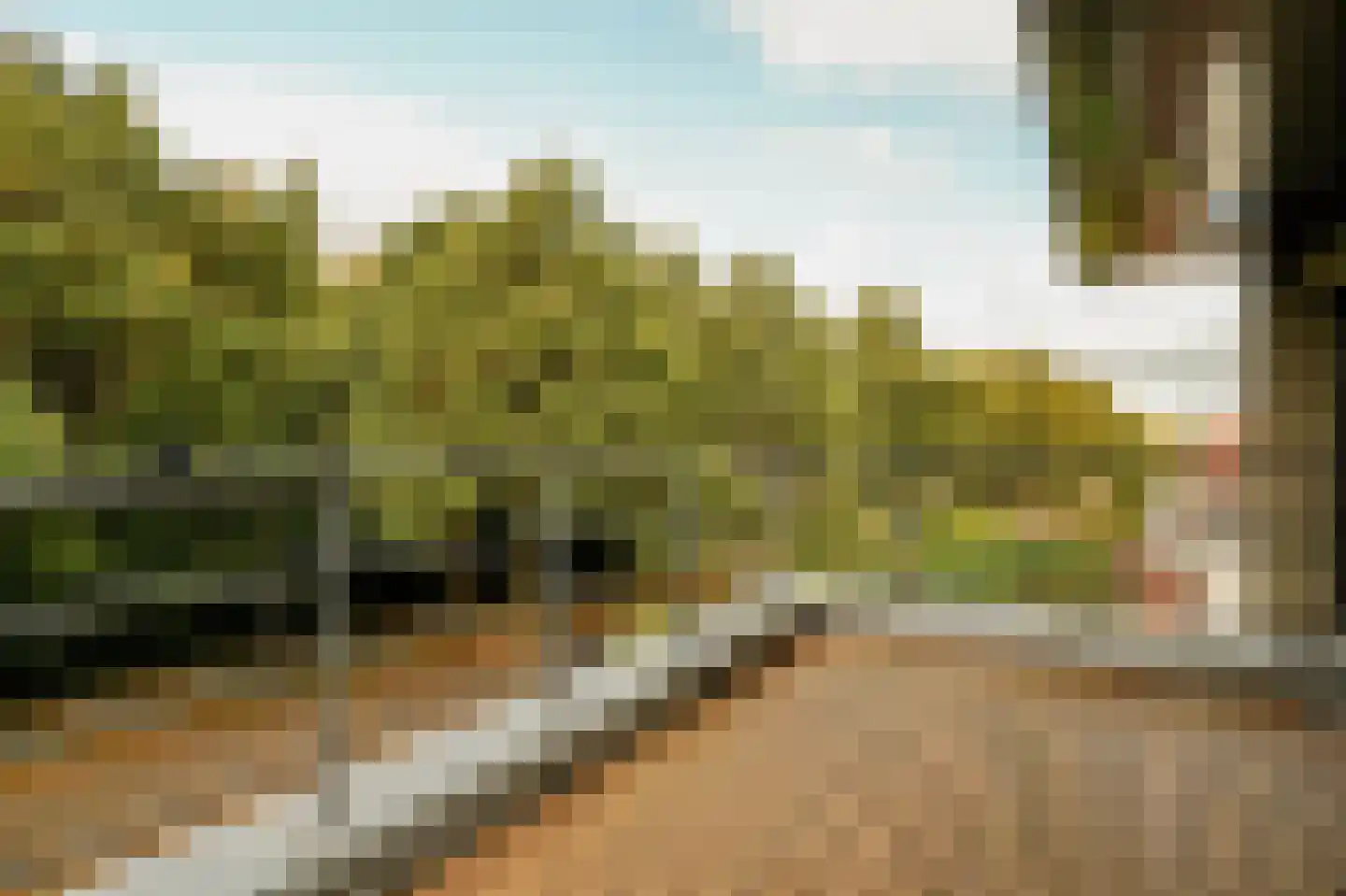 Boswinde 47 Den Haag thumbnail 121