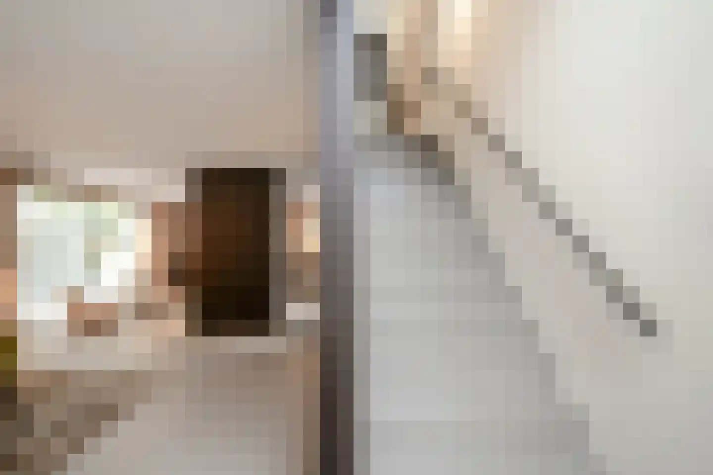Boswinde 47 Den Haag thumbnail 124
