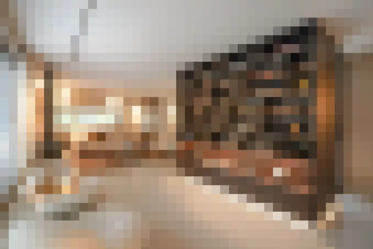 Boswinde 47 Den Haag thumbnail 127