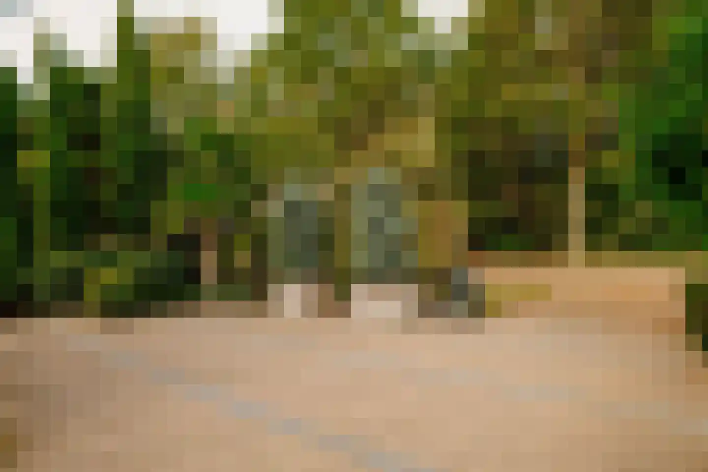 Boswinde 47 Den Haag thumbnail 13