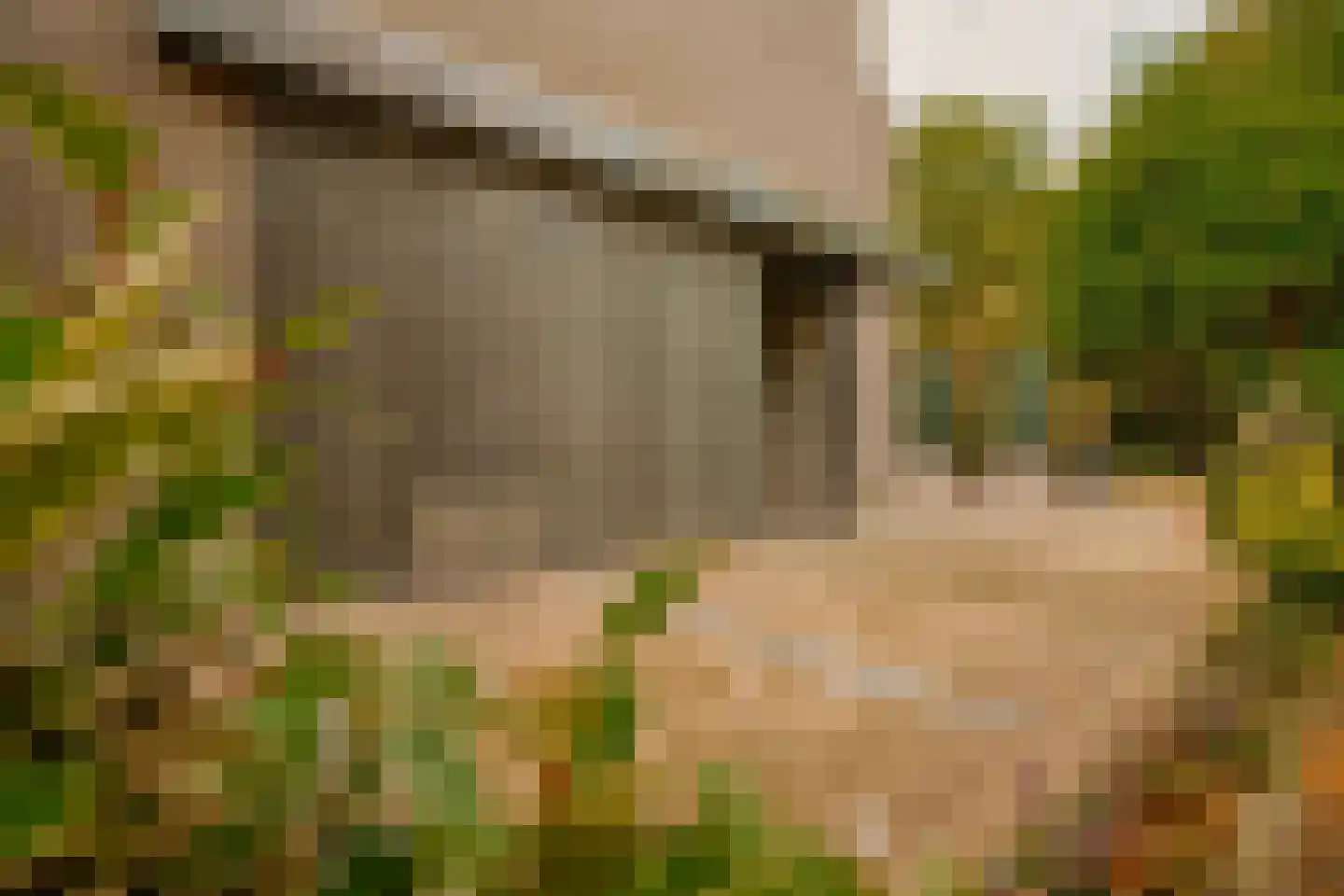Boswinde 47 Den Haag thumbnail 14