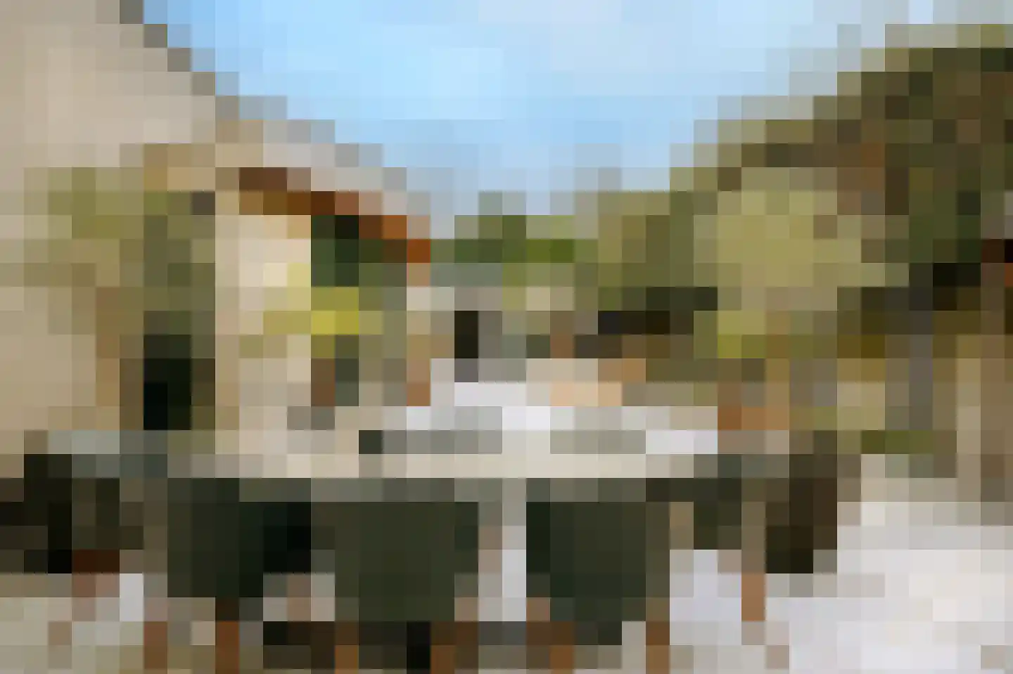 Boswinde 47 Den Haag thumbnail 28