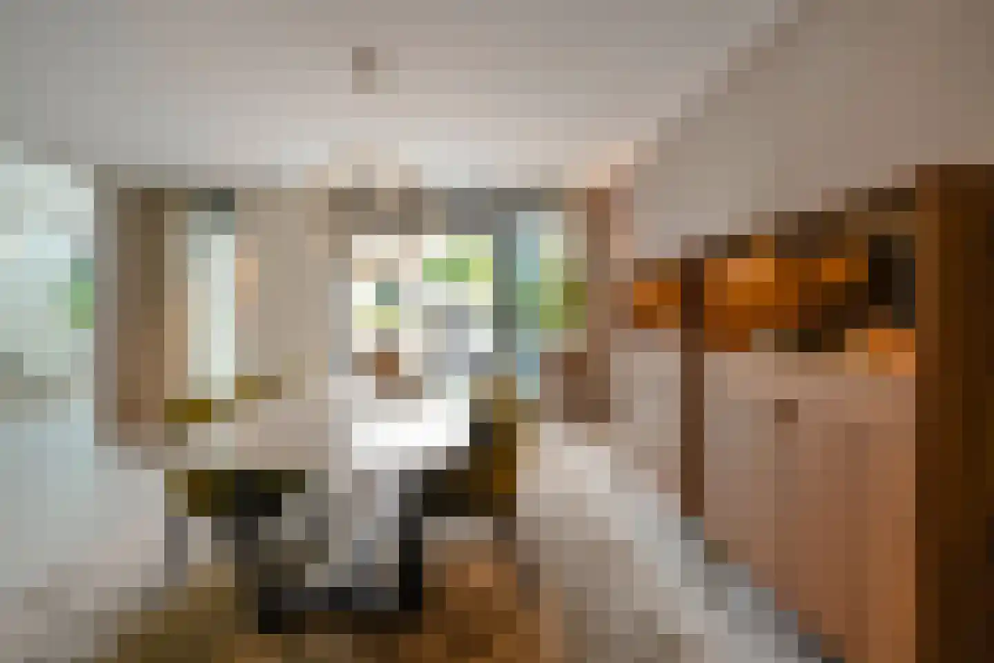 Boswinde 47 Den Haag thumbnail 30