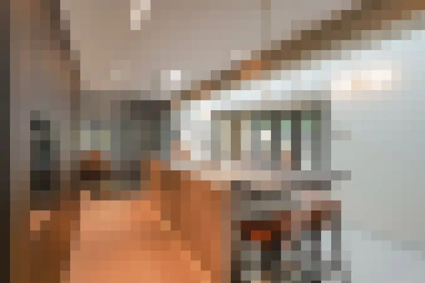Boswinde 47 Den Haag thumbnail 53