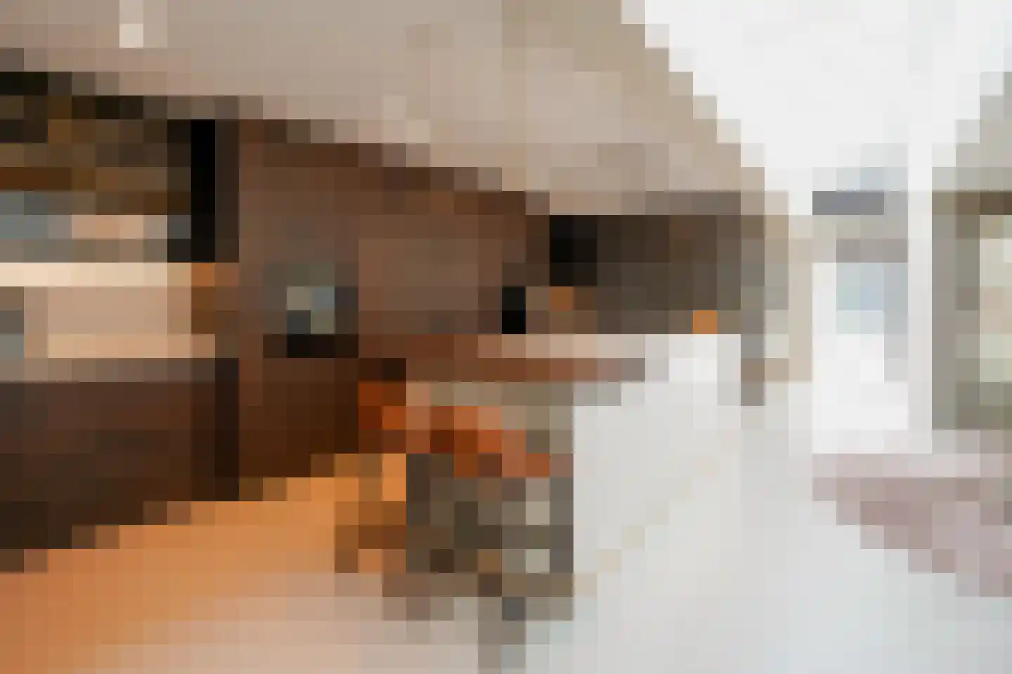Boswinde 47 Den Haag thumbnail 60