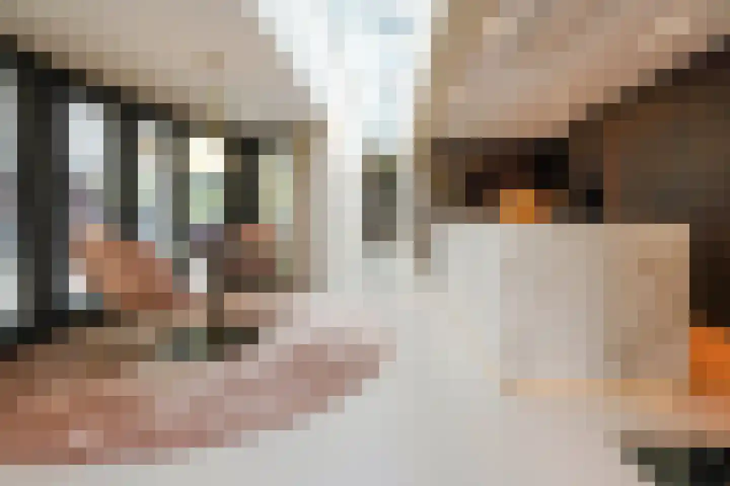 Boswinde 47 Den Haag thumbnail 61