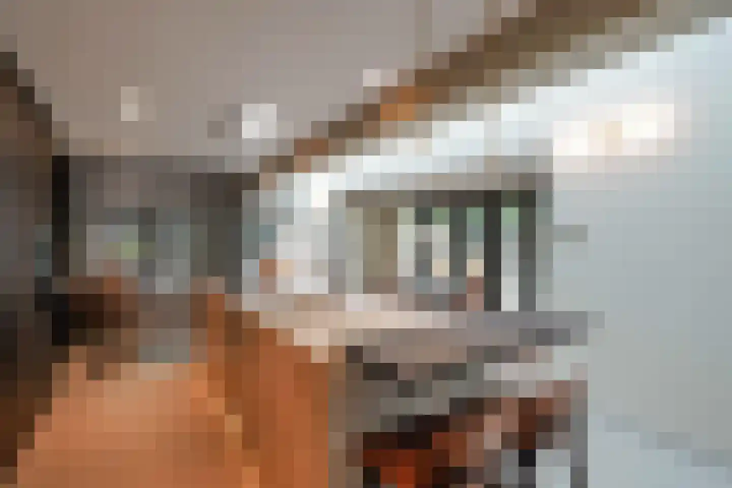 Boswinde 47 Den Haag thumbnail 65