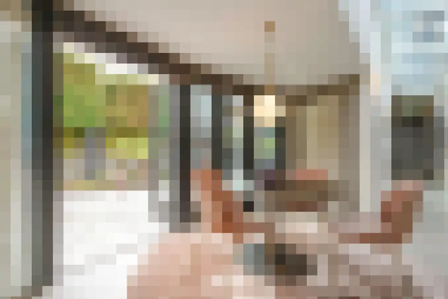 Boswinde 47 Den Haag thumbnail 66
