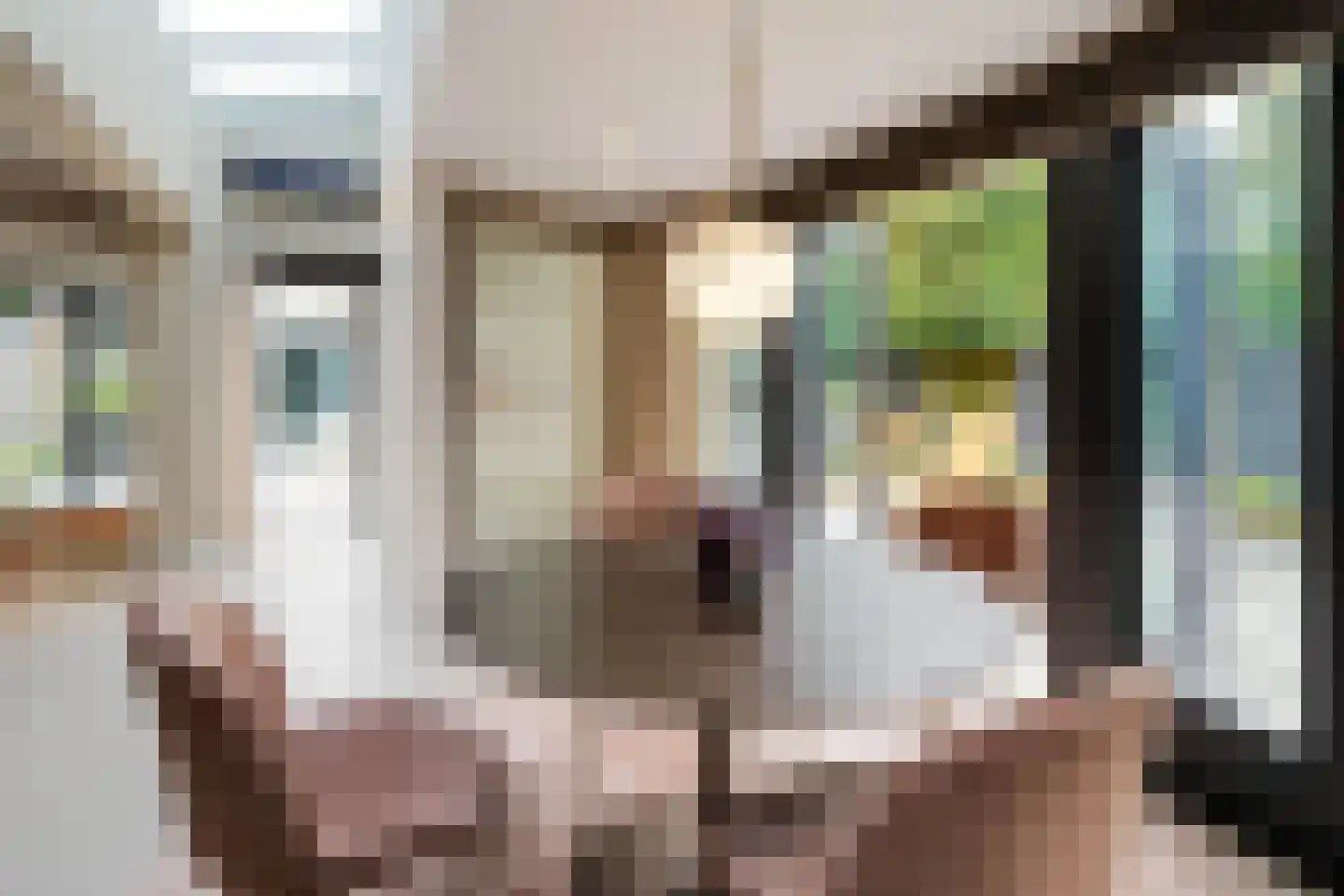 Boswinde 47 Den Haag thumbnail 67