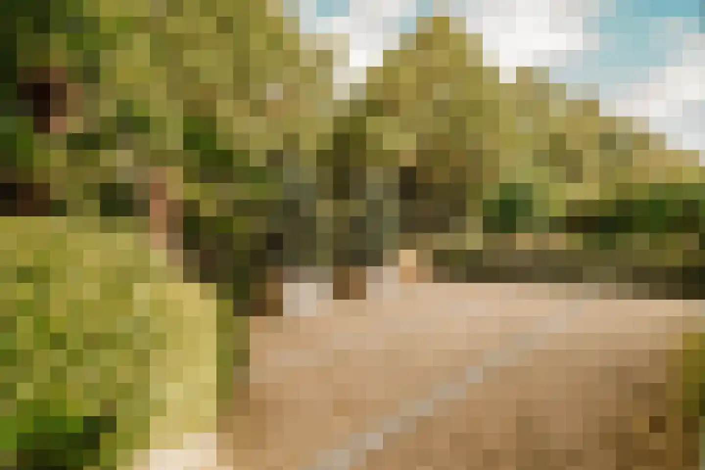 Boswinde 47 Den Haag thumbnail 7