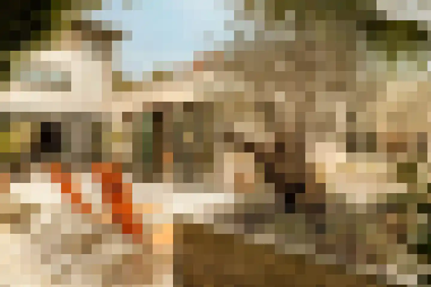 Boswinde 47 Den Haag thumbnail 74