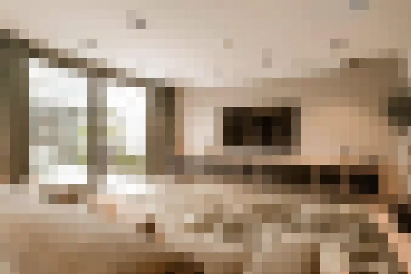 Boswinde 47 Den Haag thumbnail 76