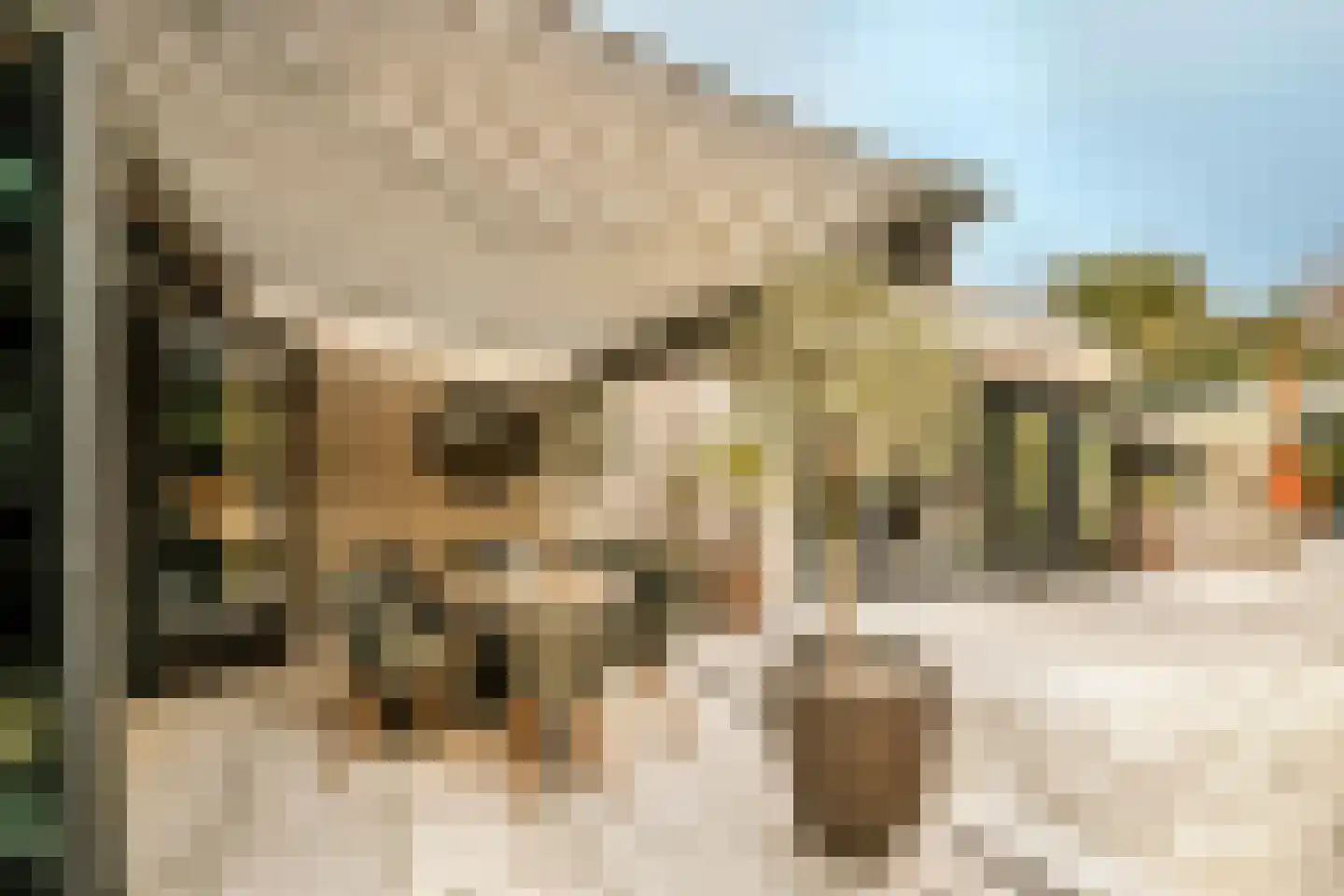 Boswinde 47 Den Haag thumbnail 79