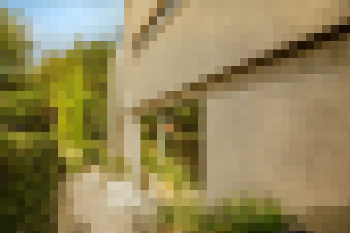 Boswinde 47 Den Haag thumbnail 8