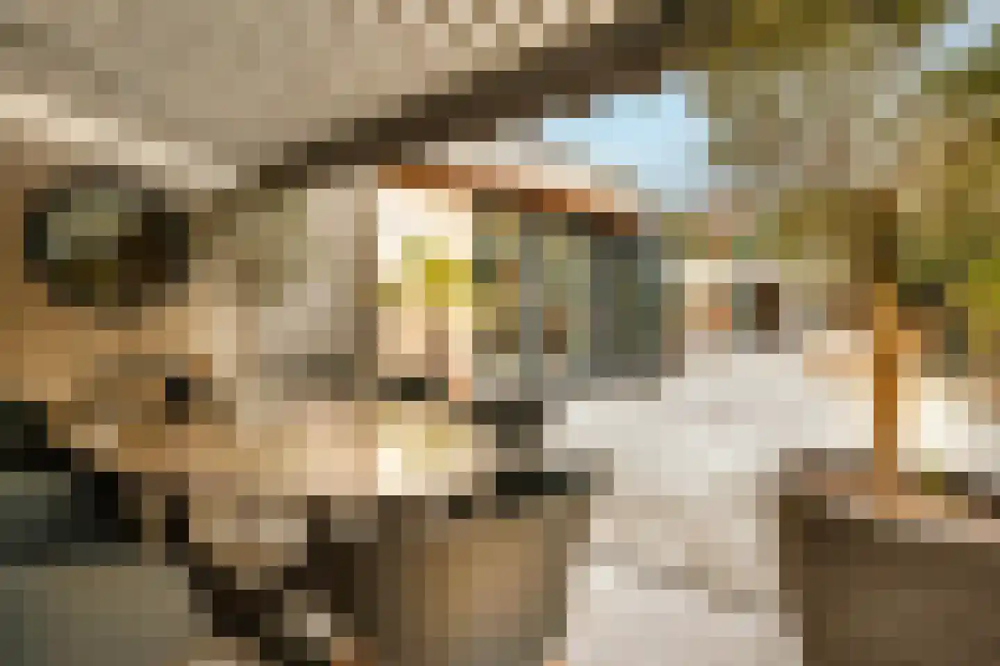 Boswinde 47 Den Haag thumbnail 80