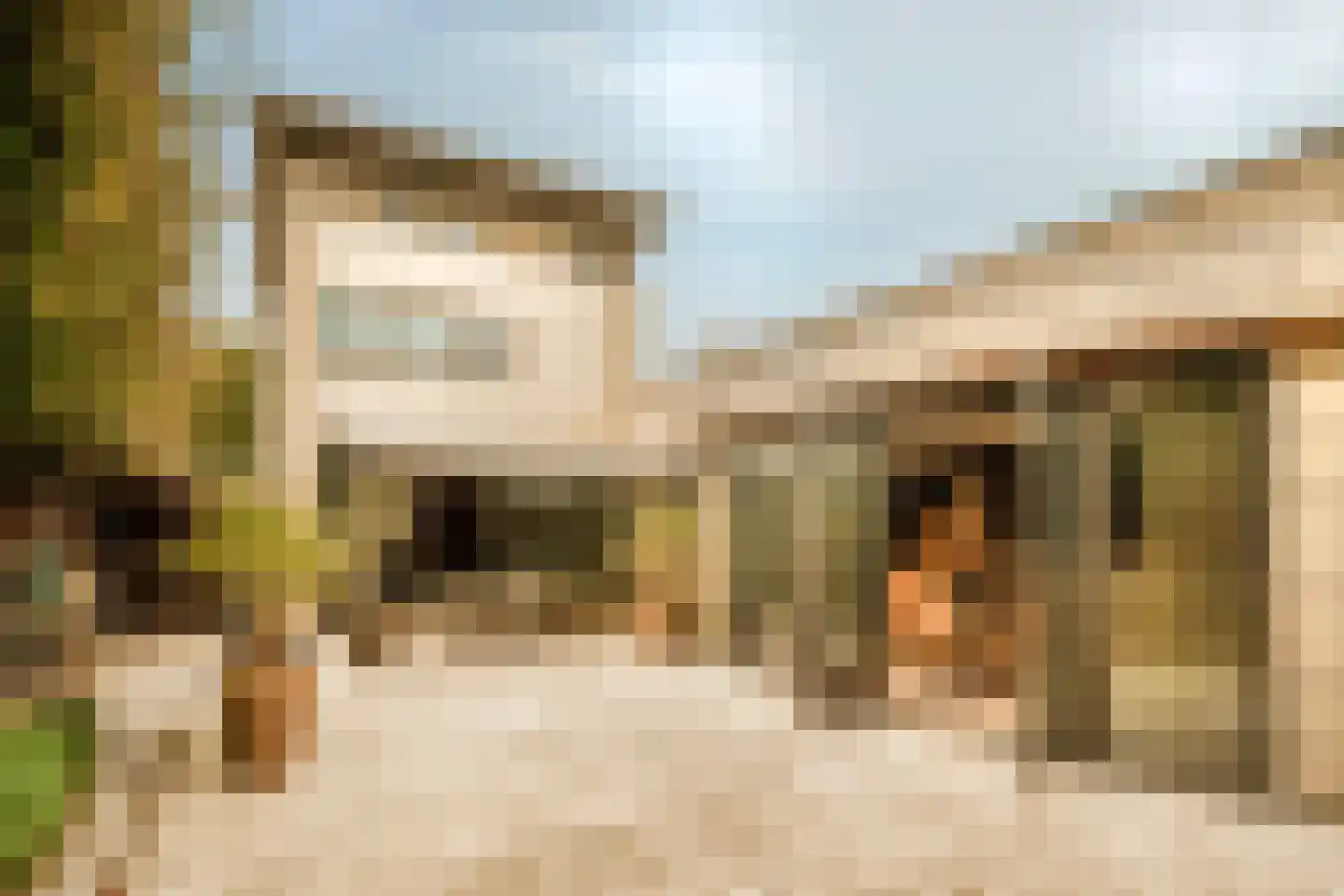 Boswinde 47 Den Haag thumbnail 81
