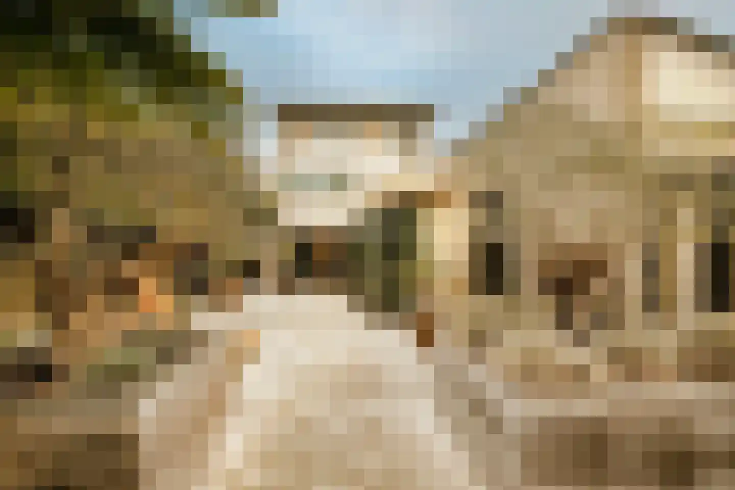 Boswinde 47 Den Haag thumbnail 82