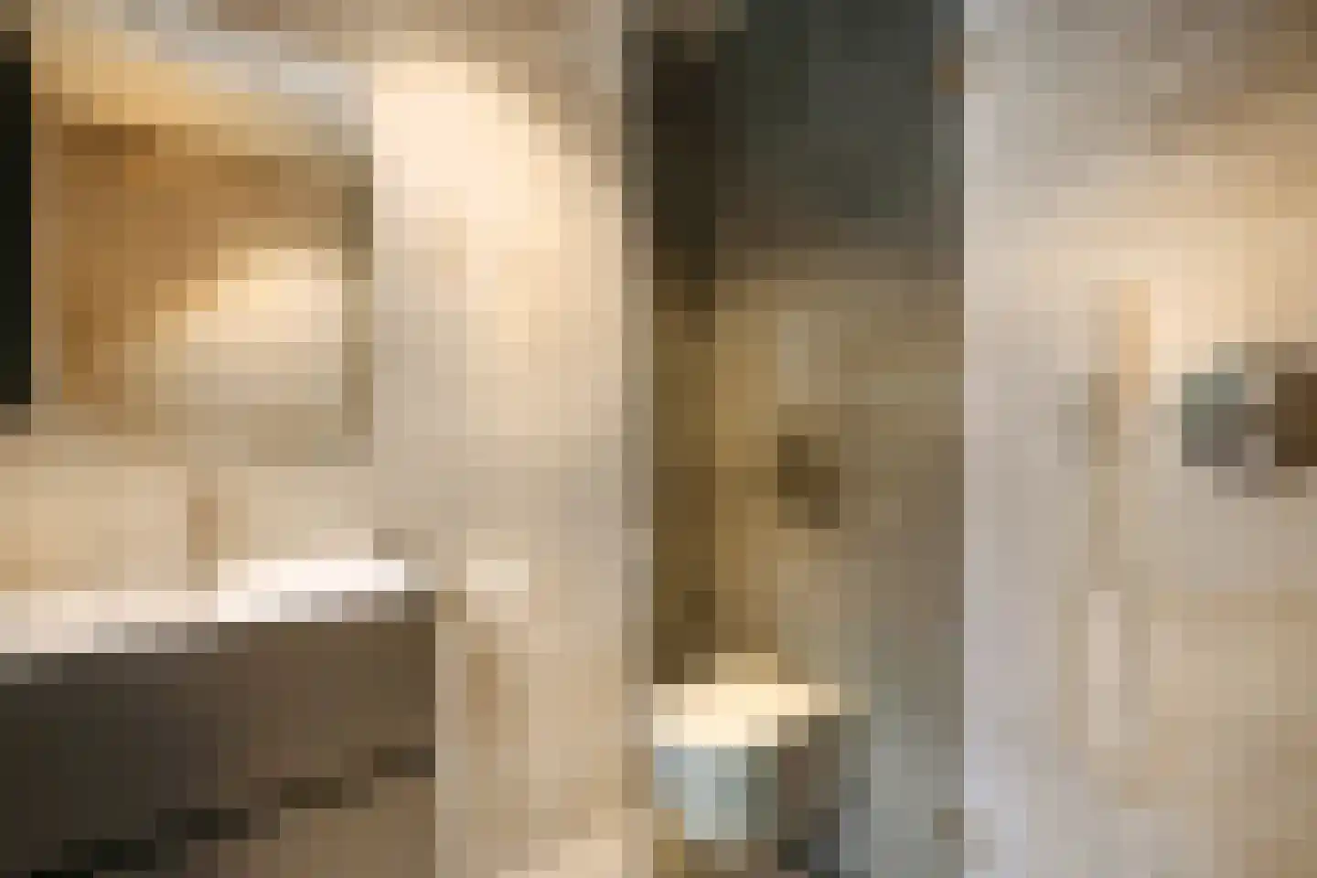 Boswinde 47 Den Haag thumbnail 83