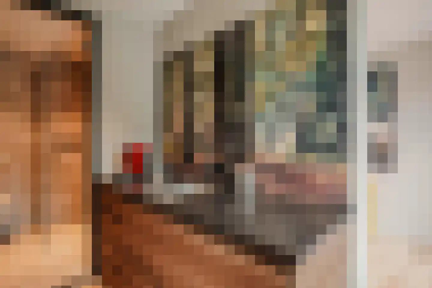 Boswinde 47 Den Haag thumbnail 84