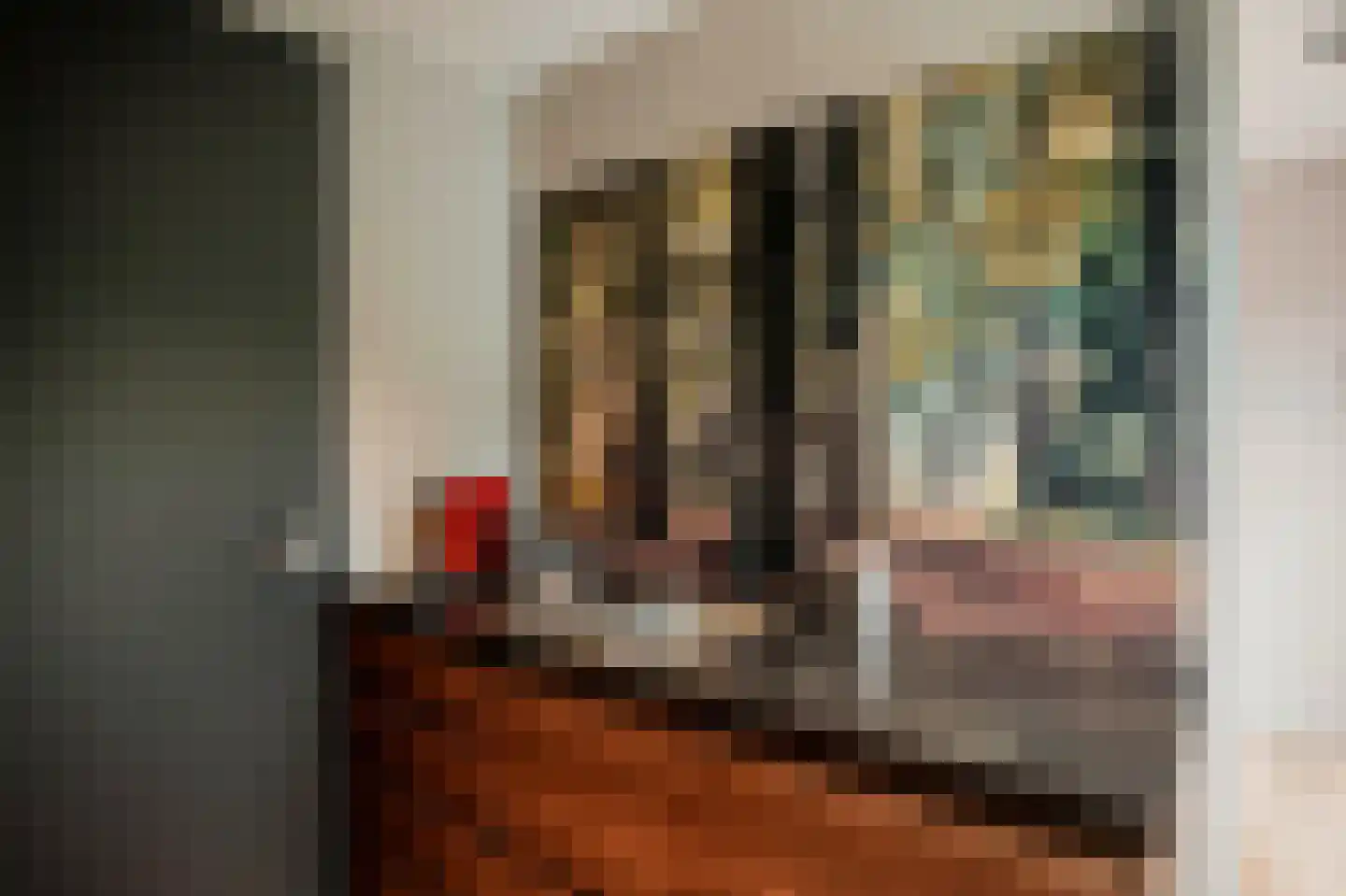 Boswinde 47 Den Haag thumbnail 85