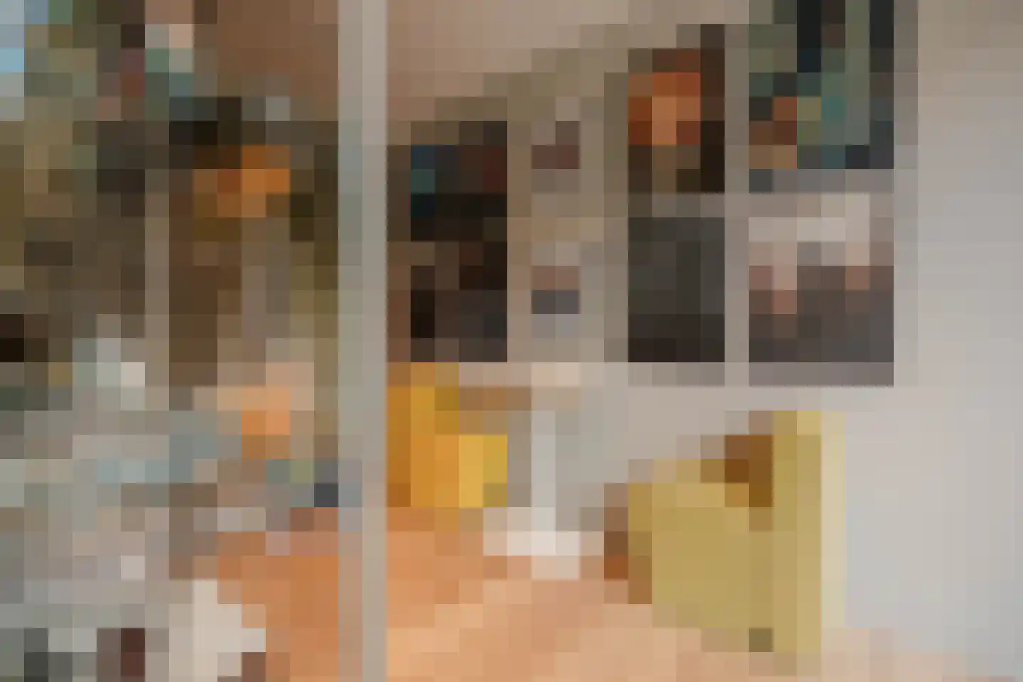 Boswinde 47 Den Haag thumbnail 86