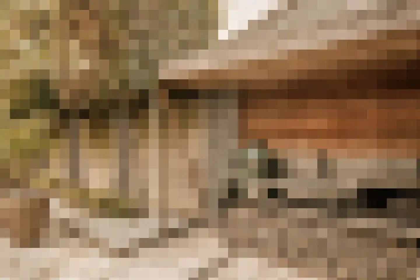 Boswinde 47 Den Haag thumbnail 89